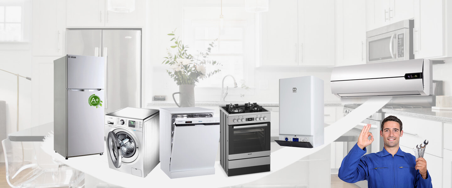 Aliağa Gorenje Servisi